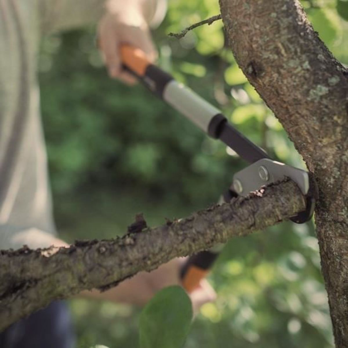 Foarfeca pas cu pas pentru ramuri groase Fiskars PowerGear X LX92, S