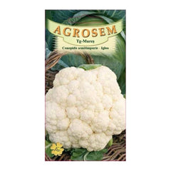 Seminte Conopida� Igloo  AGROSEM 8 g