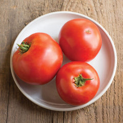 Seminte de tomate Big Beef F1, 100 seminte