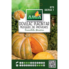 Seminte Dovleac Placintar MUSQUE DE PROVENCE A AMIA 1.5gr