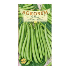 Seminte Fasole pitica  verde rotunda Processor TRATAT AGROSEM 25 kg