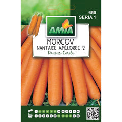 Seminte Morcov NANTAISE AMELIOREE A AMIA 4gr