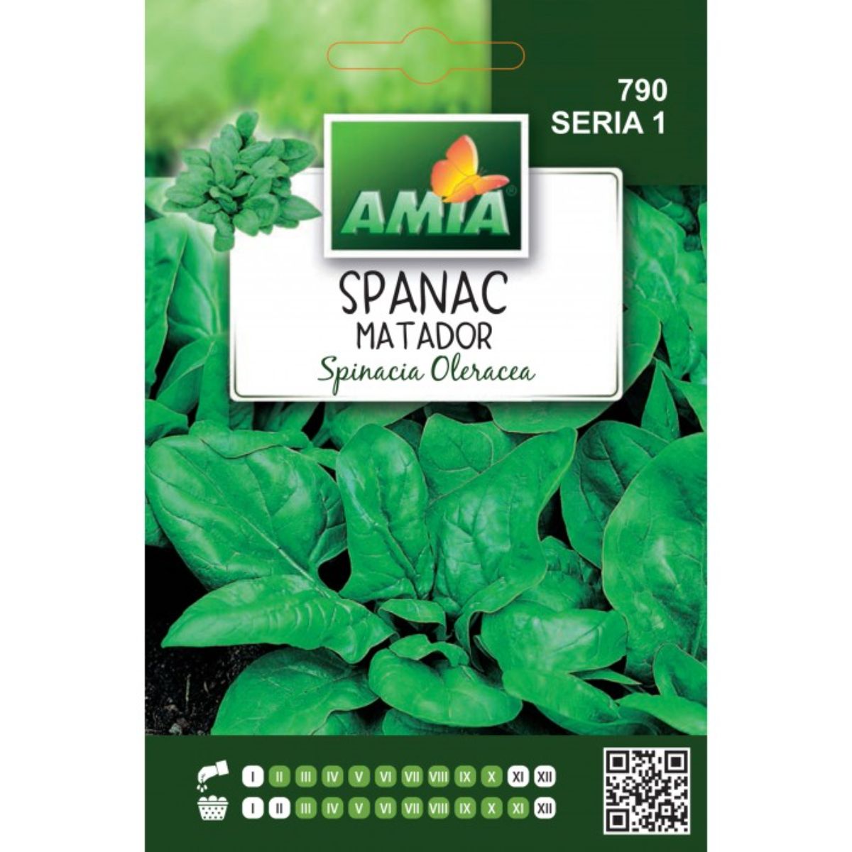 Seminte Spanac MATADOR A AMIA 10gr